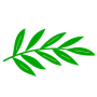 leleorganics-86-1-1.png leleorganics-86-1-1.png